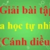 Động vật lưỡng cư là gì khám phá thế giới sinh vật độc đáo