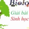 Giải mã cấu trúc siêu hiển vi của nhiễm sắc thể