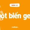 Hậu Quả Của Đột Biến Gen: Ảnh Hưởng Đến Sức Khỏe và Sự Sống