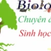Hô hấp ở thực vật là gì? Giải thích chi tiết và vai trò
