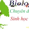 Khám phá 4 bậc cấu trúc của protein: Từ sơ khai đến phức tạp