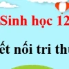 Khám phá chức năng của mRNA trong tổng hợp protein