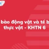 Khám phá hình ảnh tế bào thực vật chi tiết và cấu trúc đặc trưng