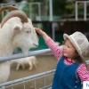 Khám phá thế giới động vật: Đa dạng loài và môi trường sống