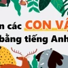 Khám phá Thế giới Động vật Hoang dã: Từ vựng Tiếng Anh cần biết