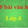 Khám phá thế giới động vật nuôi trong nhà: Lựa chọn thông minh cho gia đình bạn