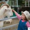 Khám phá thế giới những con động vật: Từ quen thuộc đến kỳ thú