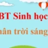 Khám phá Thí nghiệm Hô hấp ở Thực vật và Ý nghĩa Sinh học