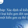 Kiểu Gen: Tổ Hợp Toàn Diện Các Gen Trong Cơ Thể