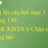 Lạc đà và môi trường sống đặc trưng: Giải mã loài vật thích nghi với sa mạc