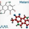 Melanin Có Trong Thực Phẩm Nào Giúp Da Sáng Khỏe?