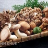 Nấm có phải là thực vật không? Phân loại khoa học và đặc điểm