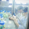 Ngành Bảo Vệ Thực Vật: Khái Niệm, Vai Trò và Cơ Hội Nghề Nghiệp