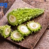 Ngứa khắp người là dấu hiệu bệnh gì và cách khắc phục hiệu quả