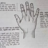 Người có 6 ngón tay: Giải mã ý nghĩa nhân tướng học và vận mệnh