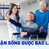Người ghép thận sống được bao lâu? Cập nhật mới nhất 2026