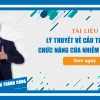 Nhiễm sắc thể: Cấu trúc, chức năng và vai trò thiết yếu trong di truyền