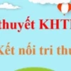 Nhiễm sắc thể sinh 9: Cấu trúc, chức năng và vai trò trong di truyền