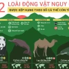 Những Loài Động Vật Có Nguy Cơ Tuyệt Chủng Ở Việt Nam