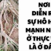 Nơi diễn ra sự hô hấp mạnh nhất ở thực vật là gì và các yếu tố liên quan