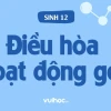 Nội dung chính của sự điều hòa hoạt động gen là gì?