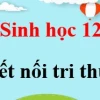 Quá trình tái bản DNA: Cơ chế, giai đoạn và ý nghĩa sinh học