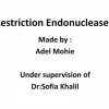 Restriction Enzymes: Công Cụ Chủ Chốt Trong Công Nghệ Sinh Học
