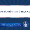 Sinh sản hữu tính ở thực vật là gì? Khám phá quy trình chi tiết