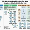 So sánh chi tiết nguyên phân và giảm phân: bảng biểu và kiến thức chuyên sâu