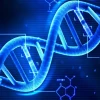 So sánh DNA và RNA: Khác biệt cốt lõi và vai trò