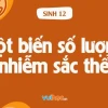 Thể một nhiễm là gì và các dạng đột biến liên quan