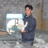 Thỏ Trắng Mắt Đỏ: Đặc Điểm, Nuôi Dưỡng Và Tại Sao Chúng Có Đôi Mắt Độc Đáo