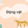 Vai trò của động vật đối với tự nhiên và con người: Góc nhìn toàn diện