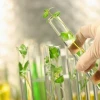 Vì Sao Phải Chọn Tạo Ra Các Giống Mới?