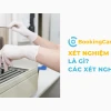 Xét nghiệm miễn dịch là gì và các loại phổ biến hiện nay