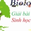 Ý nghĩa của Đột biến Cấu trúc Nhiễm sắc thể trong Di truyền học