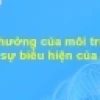 Yếu tố quy định mức phản ứng của cơ thể là gì?
