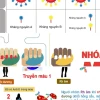 Nhóm máu ABO và yếu tố Rh Ý nghĩa quan trọng trong truyền máu