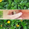 Sài Đất Công Dụng Kháng Viêm Dân Gian