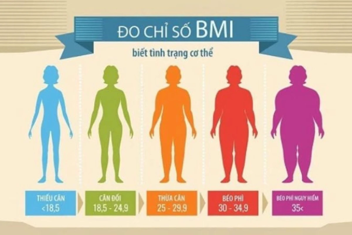 Chỉ Số BMI Người Việt Nam: Hướng Dẫn Tính Toán và Ý Nghĩa Sức Khỏe Năm 2026