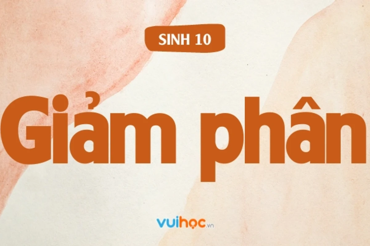 Đặc điểm của lần phân bào 2 trong giảm phân là gì?