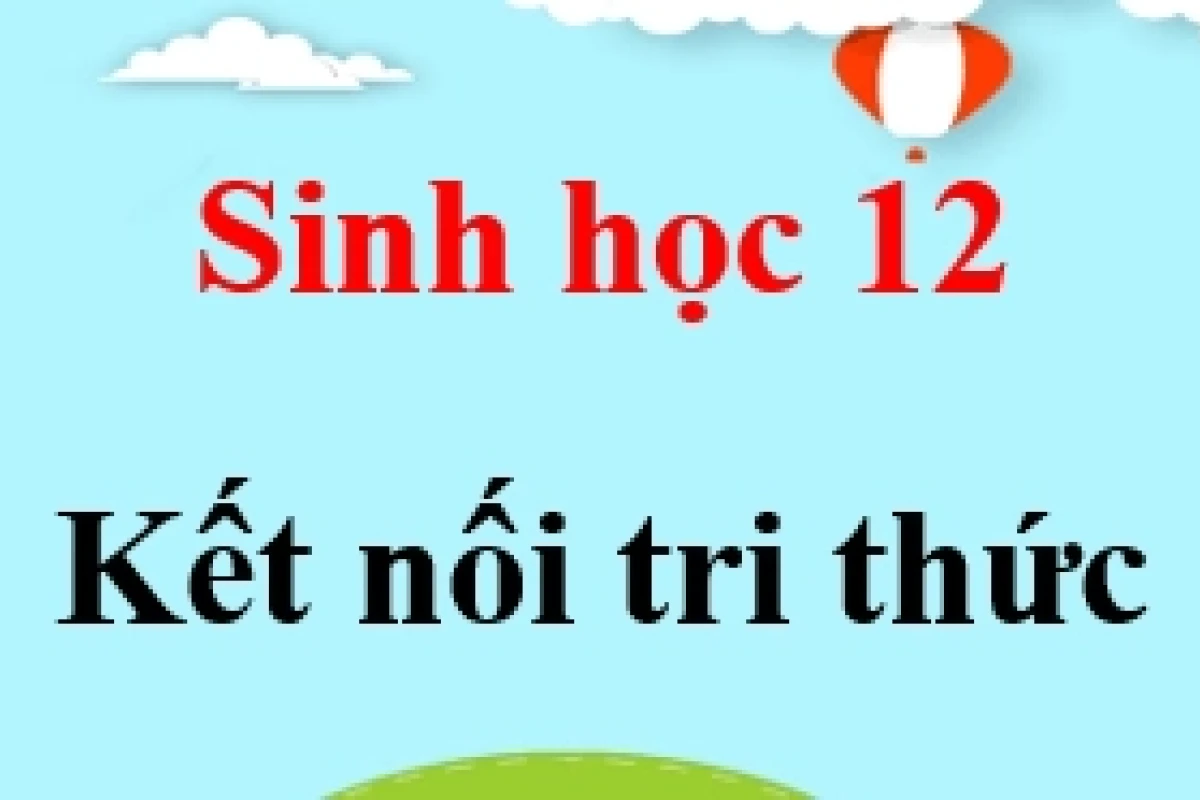 Khám phá chức năng của mRNA trong tổng hợp protein