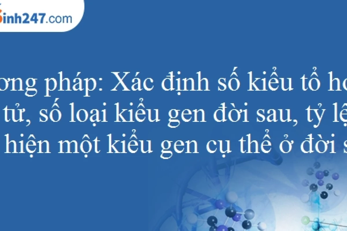 Kiểu Gen: Tổ Hợp Toàn Diện Các Gen Trong Cơ Thể