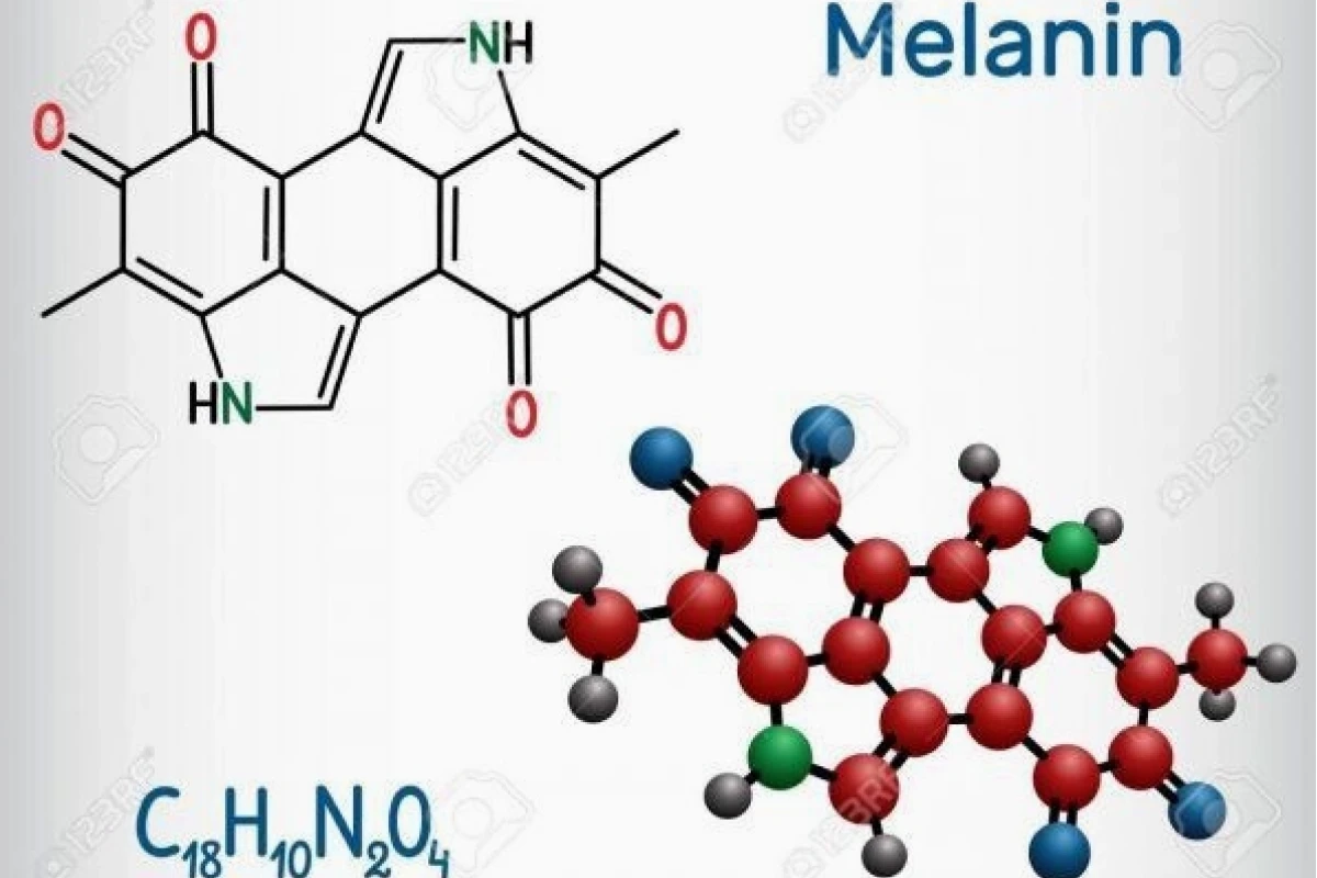 Melanin Có Trong Thực Phẩm Nào Giúp Da Sáng Khỏe?