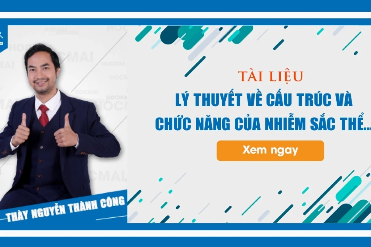 Nhiễm sắc thể: Cấu trúc, chức năng và vai trò thiết yếu trong di truyền