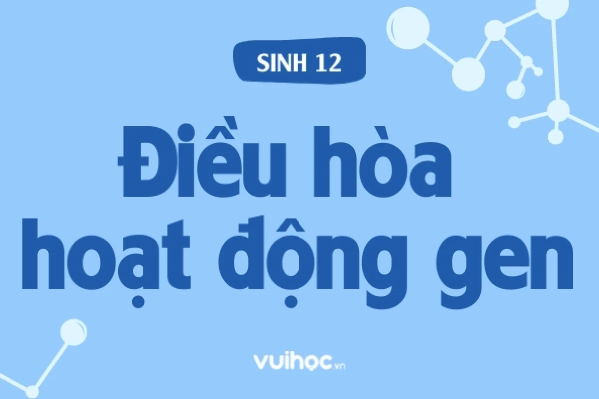 Nội dung chính của sự điều hòa hoạt động gen là gì?