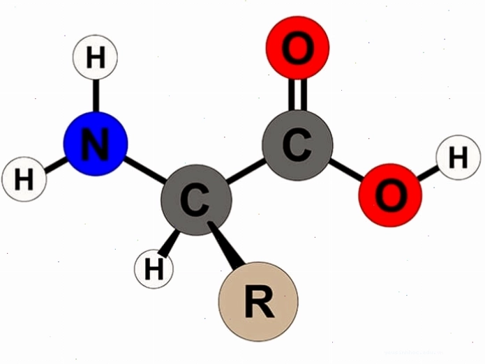 Amino axit có tính lưỡng tính