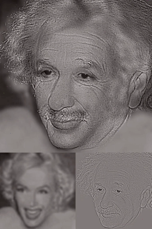Ảo ảnh Marilyn Monroe hay Albert Einstein