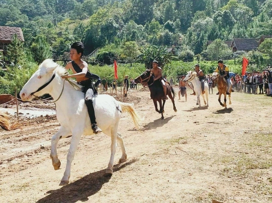 Bài văn tả con vật hoang dã lớp 4 ngắn gọn nhất - con ngựa