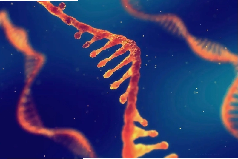Bảng so sánh cấu trúc và chức năng của DNA và RNA